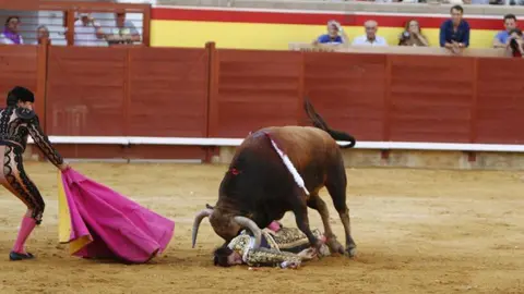 Cogida del diestro Roca Rey durante su faena en la plaza de Palencia. Fuente de la imagen: Twitter de Burladero TV.