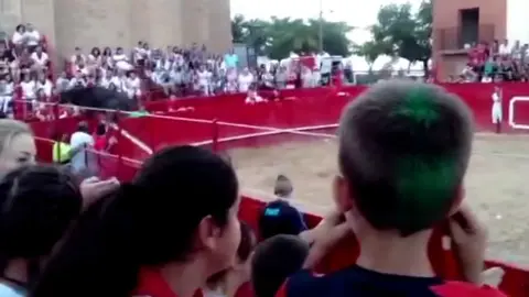 Salto de una vaca que intenta huir por el callejón de la plaza de toros de Milagro