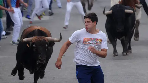 La toros de la ganaderia castellana de Antonio San Roman protagonizan el penultimo encierro de Sangüesa. MIGUEL OSÉS (10)