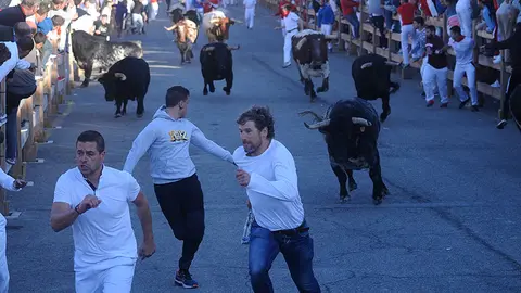 Último encierro de Sangüesa con los toros de Eladio Vegas. MIGUEL OSÉS (8)