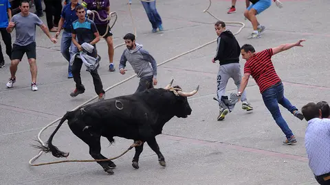 El toro de la ganadería de El Pincha deja un sabor amargo en la última tarde de toro del mes. MIGUEL OSÉS (5)