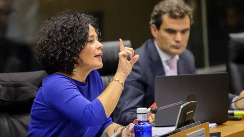 Inma Jurio en el Parlamento de Navarra. PABLO LASAOSA
