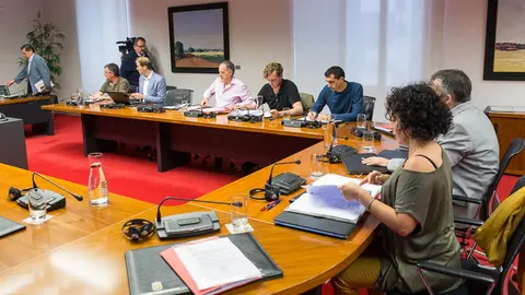 Integrantes de la comisión en la que María José Beaumont ha comparecido para explicar el proceso y el protocolo seguido en la extinción del incendio de Tafalla del pasado mes de agosto. ÍÑIGO ALZUGARAY.