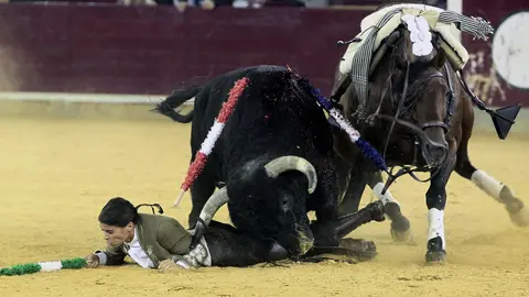 La rejoneadora francesa Lea Vicens es derribada de su montura durante la faena a su segundo toro, de la ganadería Fermín Bohorquez durante la corrida de rejones de la feria del Pilar de Zaragoza. EFE/Javier Cebollada