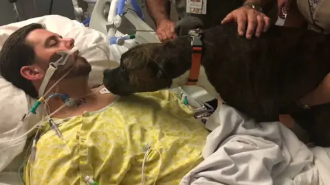 La perra Mollie se despide de su dueño Ryan Jessen, desconectado al sufrir un coma por una hemorragia cerebral FACEBOOK