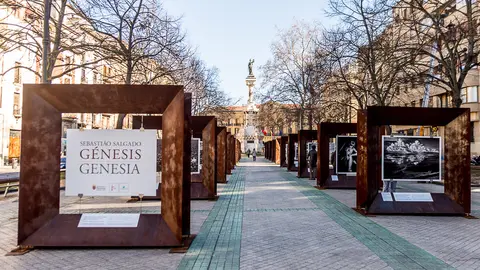 Exposición fotográfica 'Génesis' de Sebastião Salgado en el Paseo Sarasate de Pamplona. IÑIGO ALZUGARAY