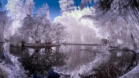 timelapse infrarroja