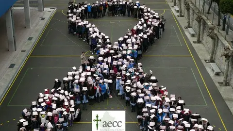 Los niños y alumnos de Navarra se unen contra el cáncer. SANTA CATALINA, PAMPLONA
