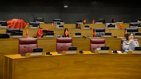 Ecaños de los parlamentarios de UPN y PPN durante el pleno. PABLO LASAOSA