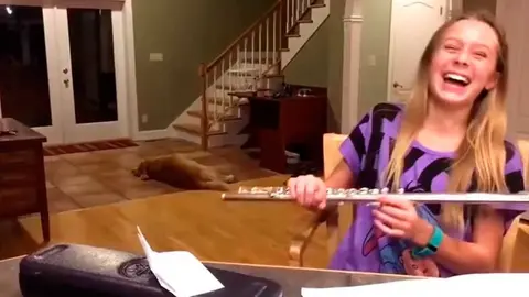 La joven practica con la flauta travesera mientras el can se va enfadando. YOUTUBE