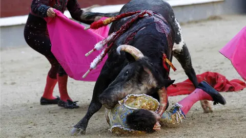El novillero García Navarrete recibe una cornada al entrar a matar su primer toro de la tarde en Las Ventas EFE