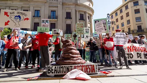 Concentración contra el anteproyecto de ley de policías de Navarra elaborado por el Gobierno (39). IÑIGO ALZUGARAY