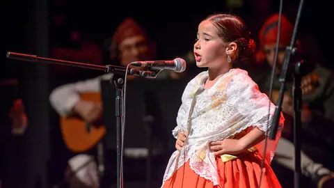 Homenaje a la jotera pamplonesa Pilarín Bueno en Baluarte. PABLO LASAOSA (14)