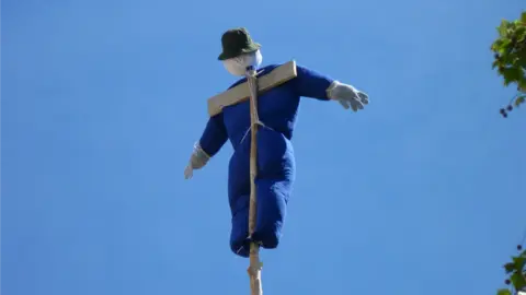 El mayo colocado en lo alto de un chopo en Murieta