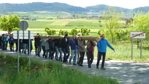 Traslado del chopo por la carretera.