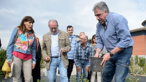 Miembros de la comisión y la Gerencia de Urbanismo, visita el Jardín de la Galaxia, la Vía Láctea a escala conformada por arbustos. PABLO LASAOSA 10