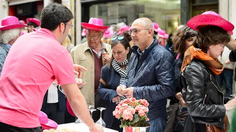 Novena edición de la Fiesta del Rosado de Navarra. PABLO LASAOSA 08