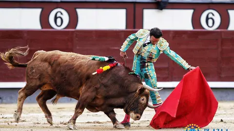 Antonio Ferrera en un natural al segundo de su lote, al que cortó una oreja.
