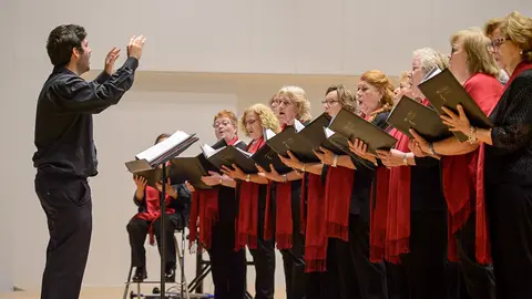 VII encuentro de coros de colegios de médicos de España, celebrado en Navarra. PABLO LASAOSA (5)