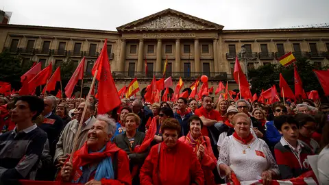 Manifestación en defensa de la bandera de Navarra. PABLO LASAOSA 62