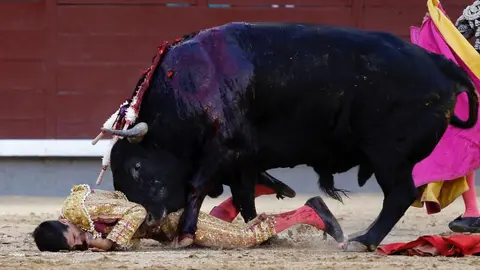 Accidentada corrida en Las Ventas con toros de Cuadri para Robleño, Castaño y Venegas PLAZA 1