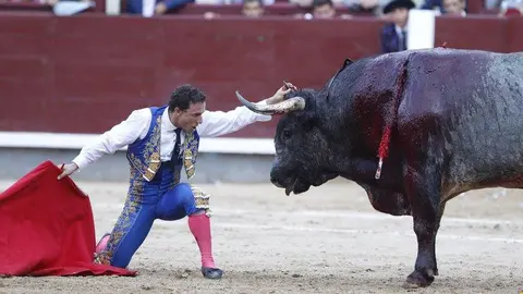 Rafaelillo ha sido el torero más ovacionado en la despedida de la feria de San Isidro con toros de Miura PLAZA 1