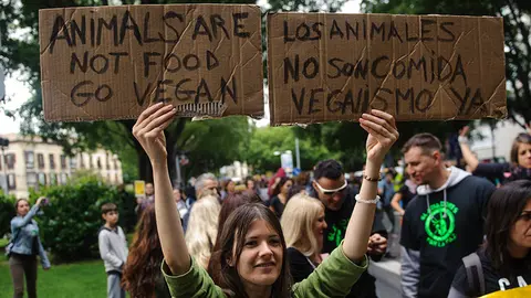 Asociaciones animalistas y antitaurinas recorren Pamplona en una protesta. MIGUEL OSÉS (5)