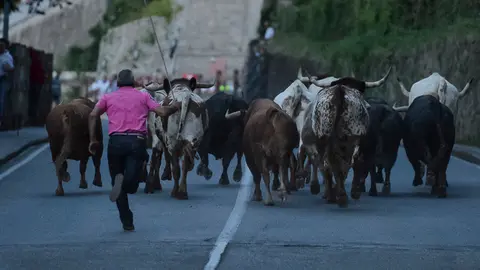 Ambiente en el encierrillo con toros de Jandilla para el dia 11 de julio de San Fermñin 2017 . PABLO LASAOSA 19