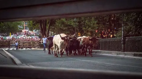 Encierrillo de los toros de Núñez del Cuvillo para ser conducidos desde los corrales del Gas hasta Santo Domingo MAITE H MATEO (2)