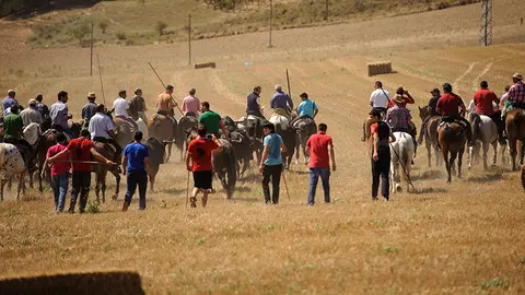 Decenas de jinetes guían a las vacas en la celebración de la trashumancia desde los campos de Larraga hasta el pueblo. MIGUEL OSÉS (10)