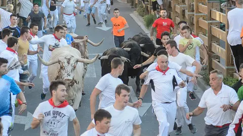 Quinto encierro de las fiestas de Tudela 2017. PABLO LASAOSA 01