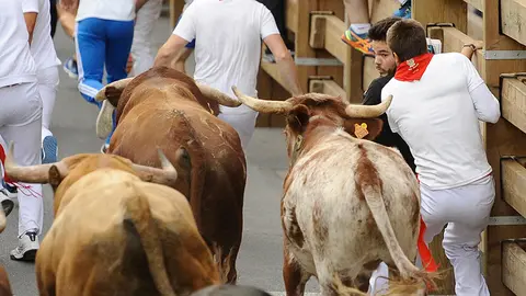 Último encierro de las fiestas de Tudela con las reses de la ganadería portuguesa de Rosa Rodriguez. MIGUEL OSÉS (9)