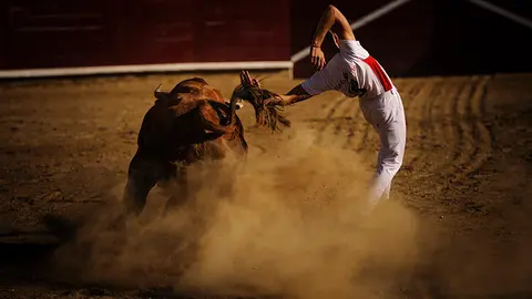 Los mejores recortadores se dan cita en el concurso de Estella con las reses de Macua. MIGUEL OSÉS_16