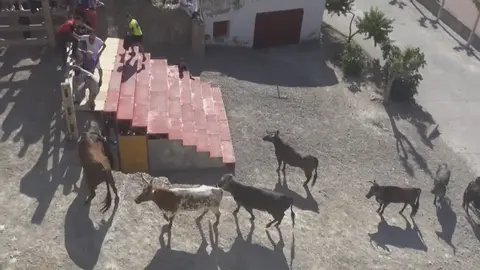 Cuarto estrecho de Arguedas