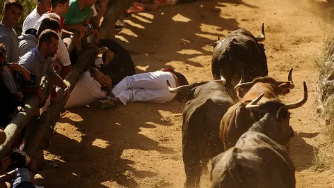 Primer encierro del Pillón en Falces de 2017. MIGUEL OSÉS (8)