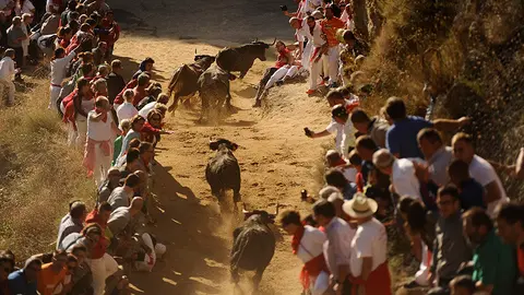 Primer encierro del Pillón en Falces de 2017. MIGUEL OSÉS (9)