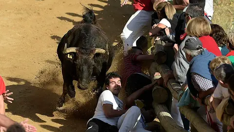 Primer encierro del Pilón 2017 en Falces. PABLO LASAOSA 04