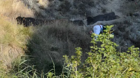 Segundo encierro del Pilón 2017 de las fiestas de Falces. PABLO LASAOSA 02