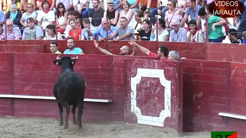 Las reses de los Hermanos Ganuza protagonizan una intensa tarde de sábado en Arguedas