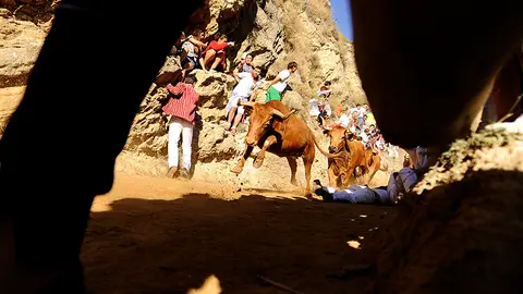 Quinto encierro del Pilón de Falces con las reses de la ganadeería Vicente Domínguez. MIGUEL OSÉS (6)