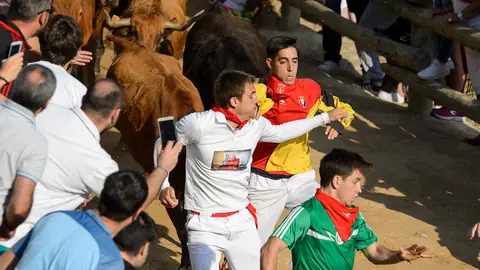 Sexto encierro del pilón 2017 de las fiestas de Falces. PABLO LASAOSA 07
