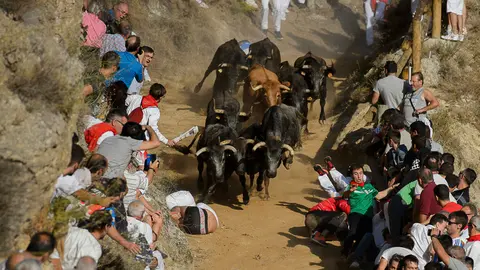 Séptimo encierro del Pilón 2017 de las fiestas de Falces. PABLO LASAOSA 01 (3)