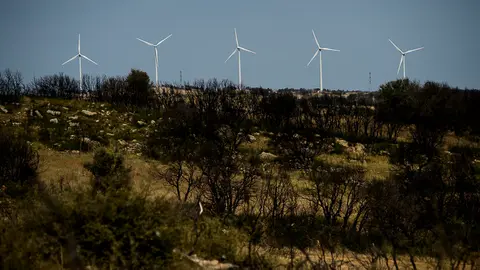 Visita un año después a la zona afectada del incendio de Tafalla en 2016. PABLO LASAOSA 11