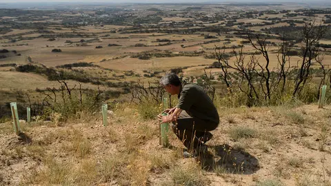 Visita un año después a la zona afectada del incendio de Tafalla en 2016. PABLO LASAOSA 19