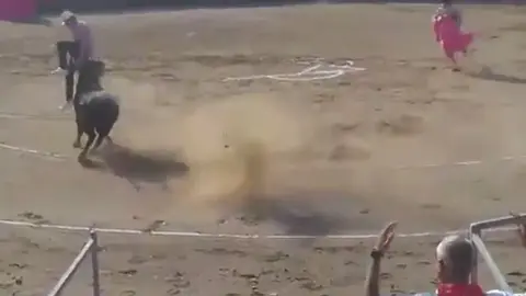 Un toro de Miura embiste a un antitaurino que ha saltado al ruedo de Carcasonne en plena faena con el animal