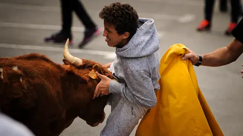 Vacas en Berriozar 2017 a cargo de la ganadería navarra de Reta. MIGUEL OSÉS (10)