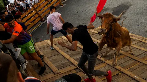 Noain vuelve a tener recorrido en la suelta de las vacas en las fiestas de 2017. MIGUEL OSÉS_3