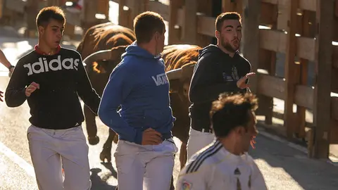 Tercer encierro de las fiestas de Peralta 2017 con la ganadería de Alcurrucén. MIGUEL OSÉS_2