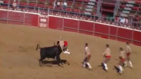 Momento en el que el toro embiste al forcado Pedro Primo, en la plaza portuguesa de Alentejo.