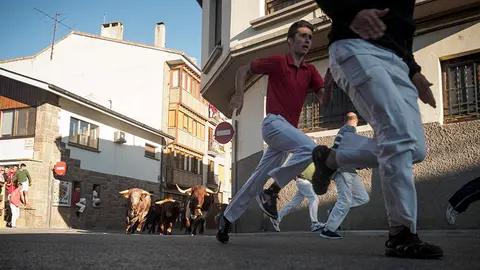 Sengundo encierro de las fiestas de Sangüesa 2017 con la ganaderia de Larraga de Macua. MIGUEL OSÉS (13)